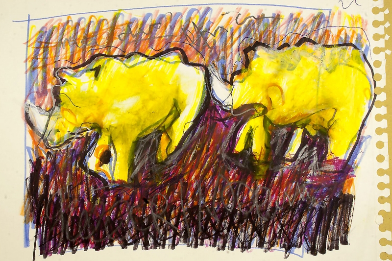 Rinoceronti 2 | 2014 | tecnica mista su carta | 42x30 cm