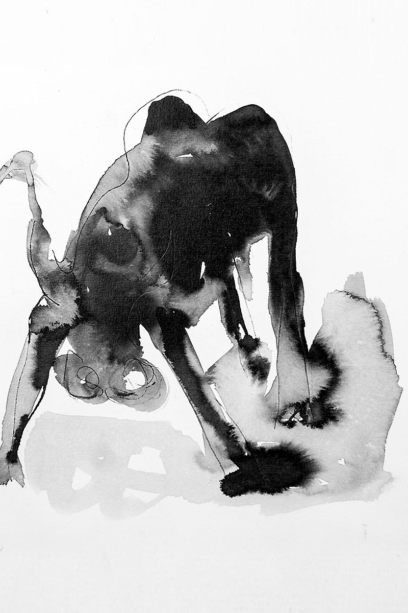 Toro con ombra | 2013 | tecnica mista su carta | 20x20 cm